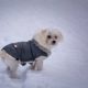 cappottino per cani