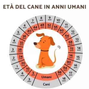 età dei cani